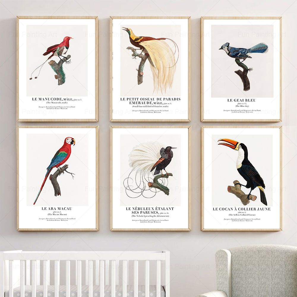Furniture Paradise & Hardware Ghaziabad Photos - Vintage Paradise Bird Wand Kunst Leinwand
