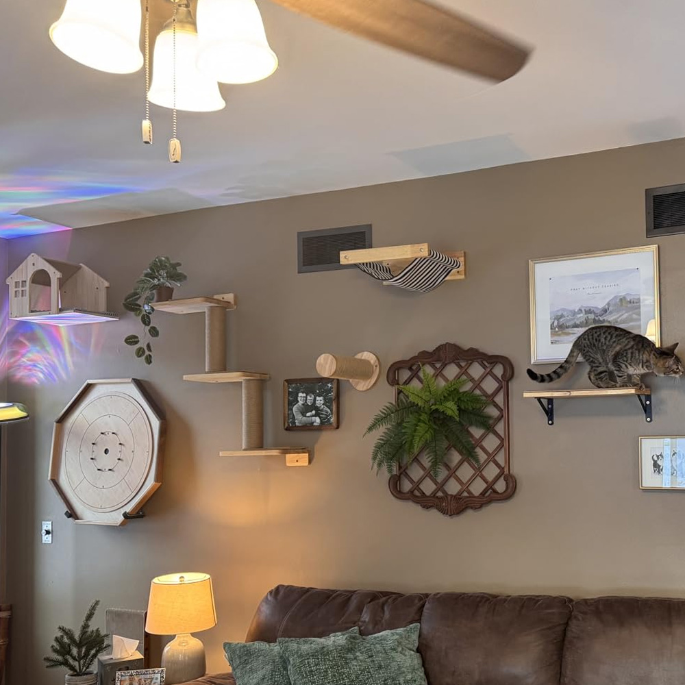 Katzenmöbel Massivholz-Hängebr – Furniture Paradise & Hardware Ghaziabad Photos Bewertung und Preis
